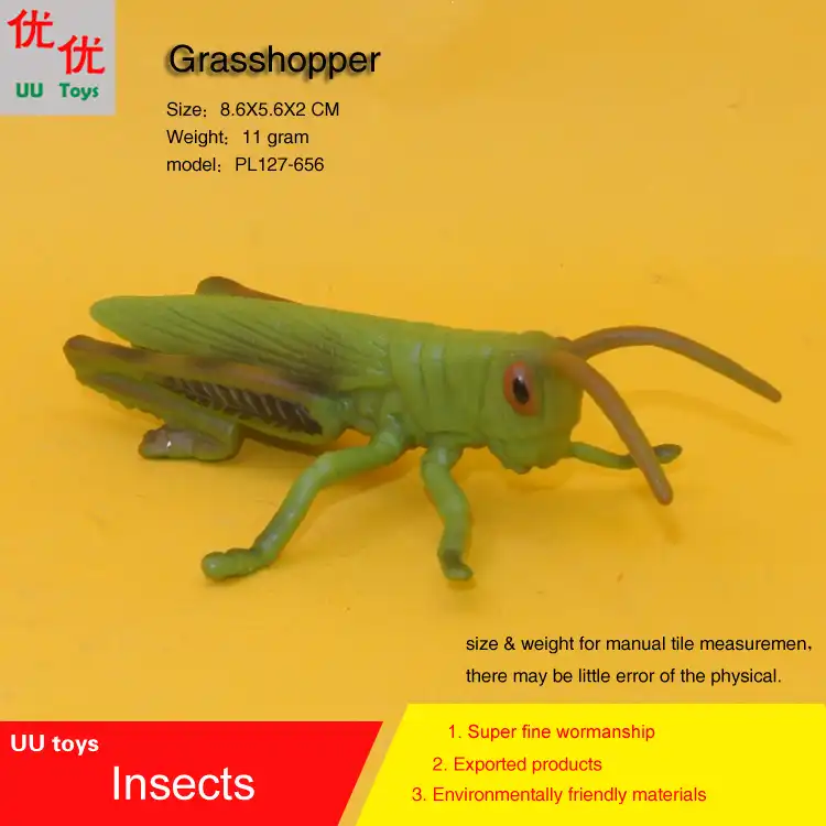 grasshopper insects simulation model insects animals kids gift