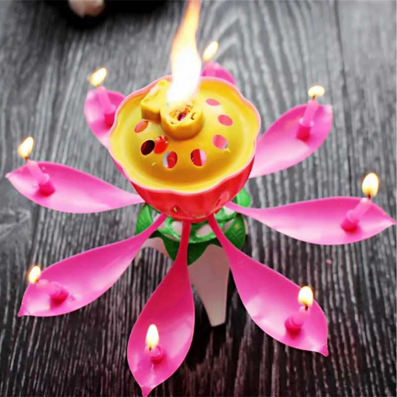 Hoomall Musical Lotus Flower Art Candle Happy Birthday Party Gift Candles Lights For Cake Topper DIY Kids Wedding Decoration
Hoomall Musical Lotus Flower Art Candle Happy Birthday Party Gift Candles Lights For Cake Topper DIY Kids Wedding Decoration