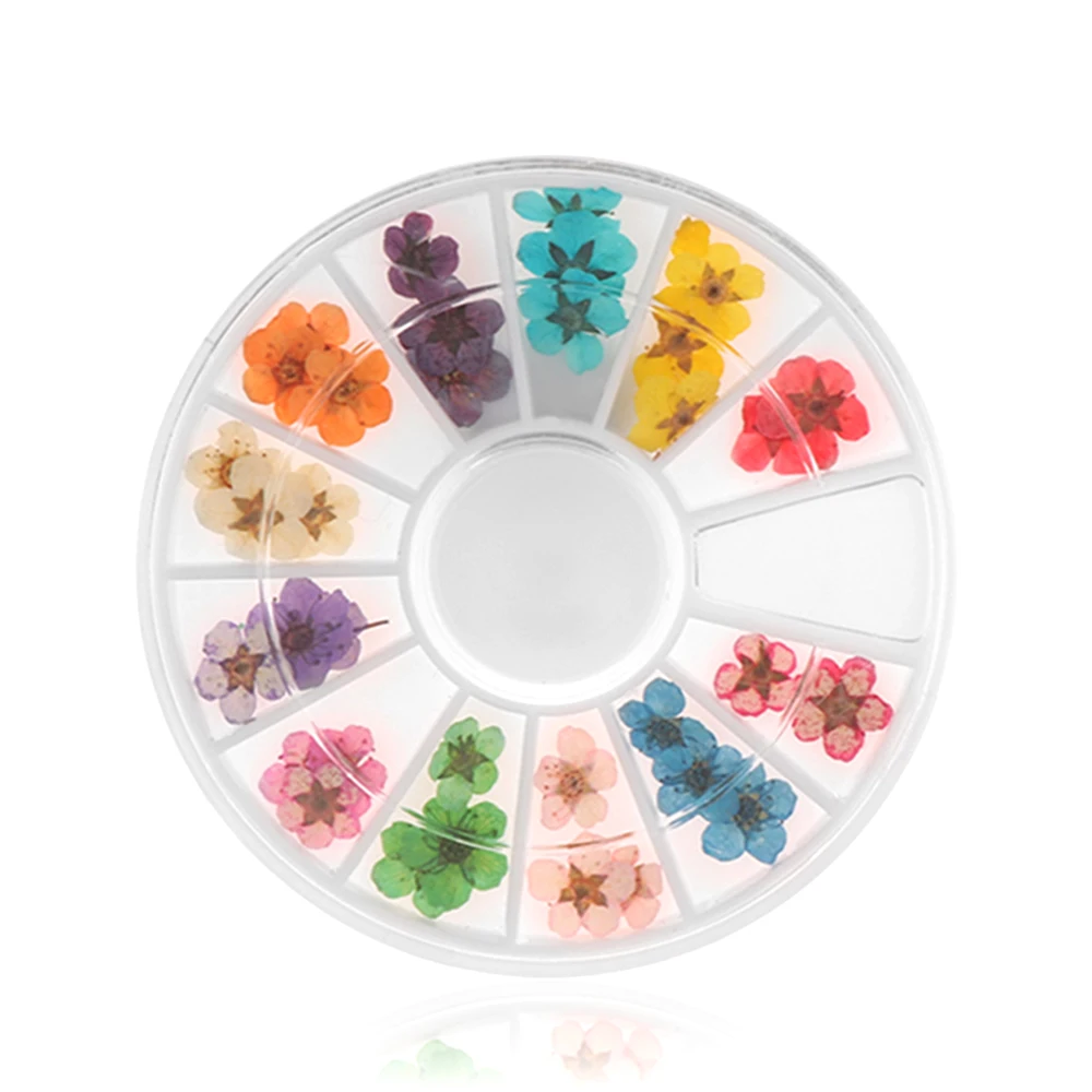 36Pcs/Box 3D Dried Flowers Professional Nail Art Decoration Beauty Blossom Camellia UV Gel Acrylic DIY Nails Decals 12 Colors
36Pcs/Box 3D Dried Flowers Professional Nail Art Decoration Beauty Blossom Camellia UV Gel Acrylic DIY Nails Decals 12 Colors