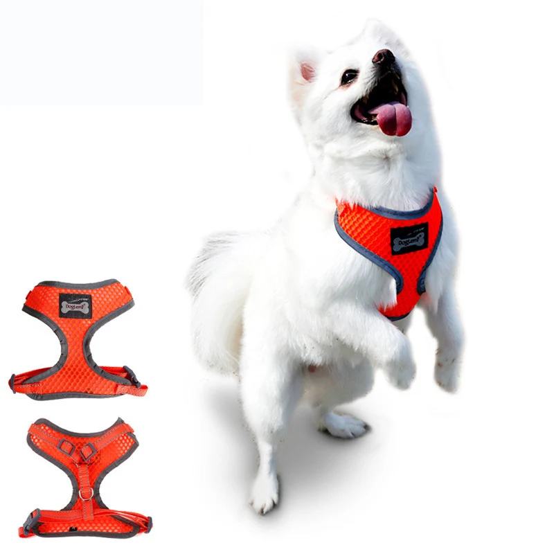 Comfort Control Dog Walking Harness, Accessory, Collar, Padded Vest, Lightweight, No More Pulling, Tugging or Choking,Small Dog
Comfort Control Dog Walking Harness, Accessory, Collar, Padded Vest, Lightweight, No More Pulling, Tugging or Choking,Small Dog