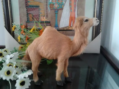 simualtion camel about 22x18cm fur camel toy model polyethylene & furs resin handicraft decoration toy gift a2407
simualtion camel about 22x18cm fur camel toy model polyethylene & furs resin handicraft decoration toy gift a2407