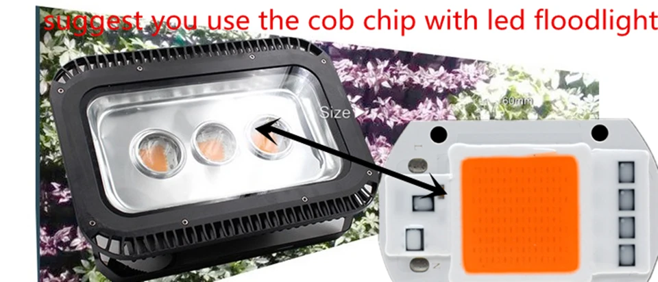 HTB1wRceQFXXXXc3XpXXq6xXFXXXK_