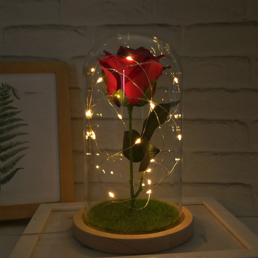 LED Beauty Rose Beast Battery Powered Red Flower String Light Desk Lamp Romantic Birthday Holiday Girls Mother Gifts Home Decor
LED Beauty Rose Beast Battery Powered Red Flower String Light Desk Lamp Romantic Birthday Holiday Girls Mother Gifts Home Decor