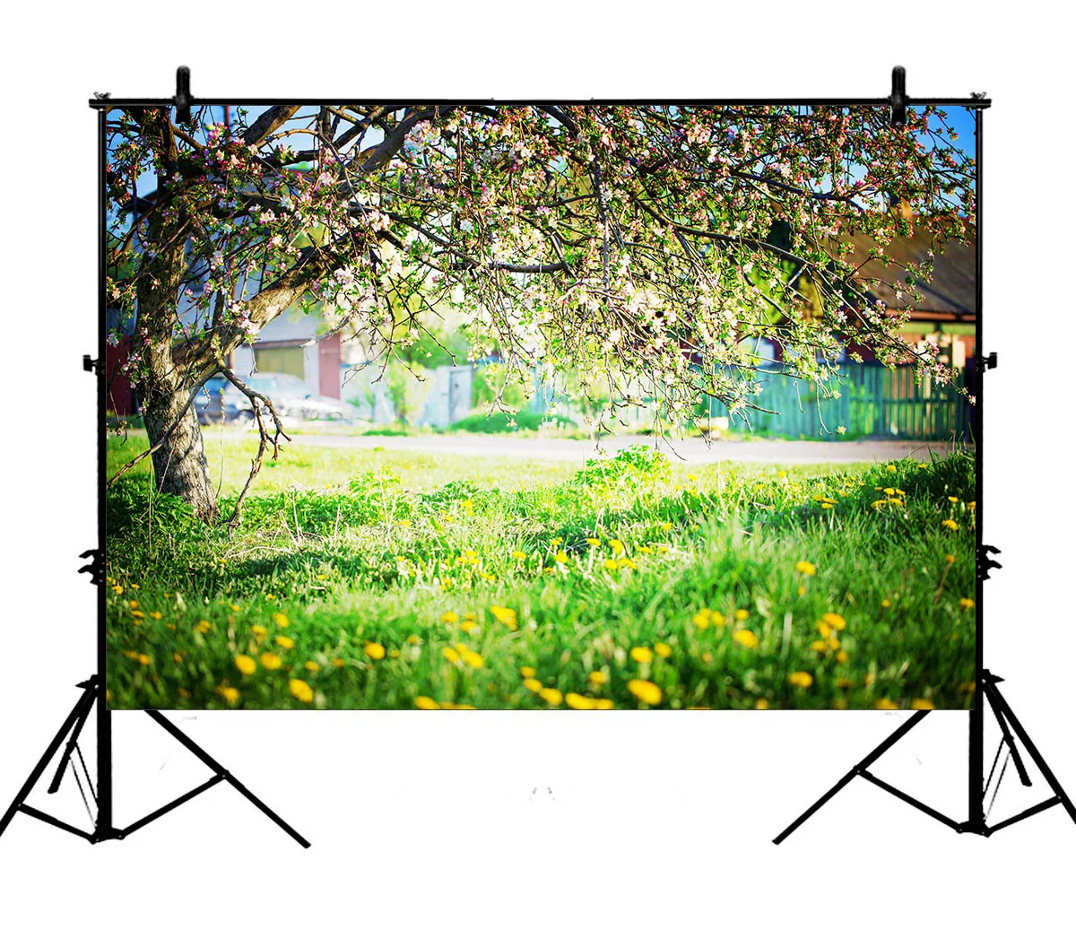 5x7ft Blooming Flowers Tree Wedding Courtyard Spring Polyester Photo Background Portrait Backdrop
5x7ft Blooming Flowers Tree Wedding Courtyard Spring Polyester Photo Background Portrait Backdrop