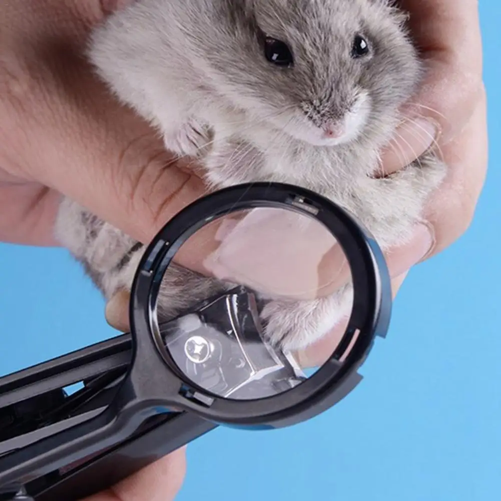 Hamster Magnifying Glass Nail Clippers for Rabbits Chinchilla Squirrels Hedgehogs Guinea Pigs Small Pet Cleaning Supplies 20E
Hamster Magnifying Glass Nail Clippers for Rabbits Chinchilla Squirrels Hedgehogs Guinea Pigs Small Pet Cleaning Supplies 20E