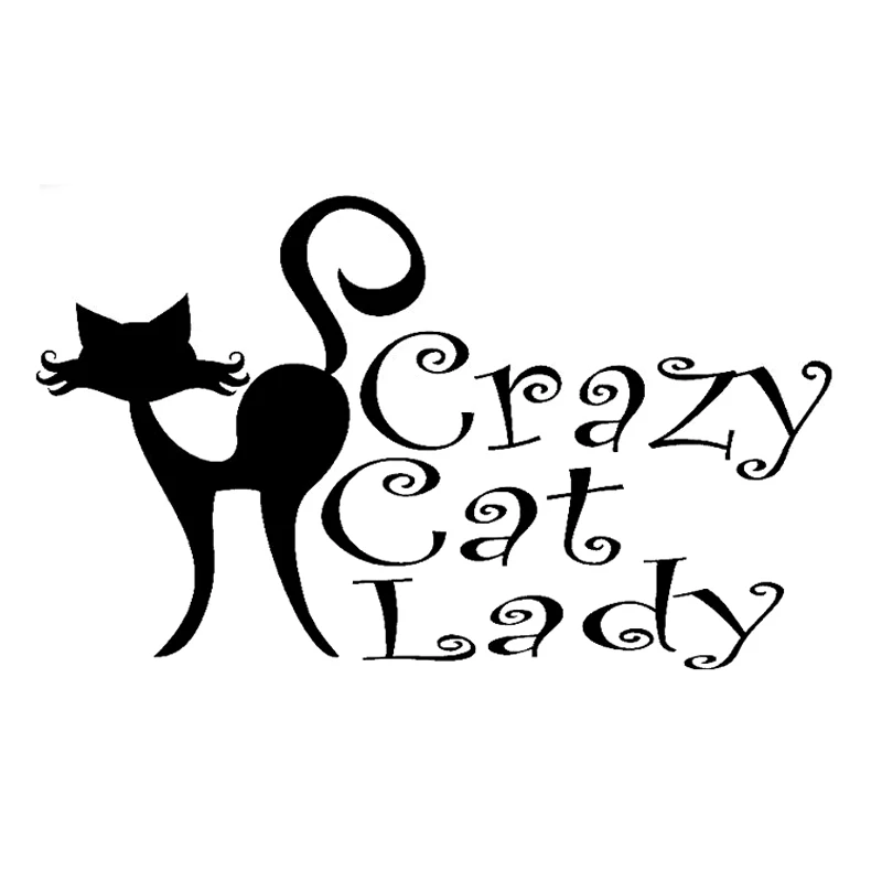 30 см Crazy Cat Lady аксессуары для животных наклейка на машину мотоцикл 6z 057|Наклейки