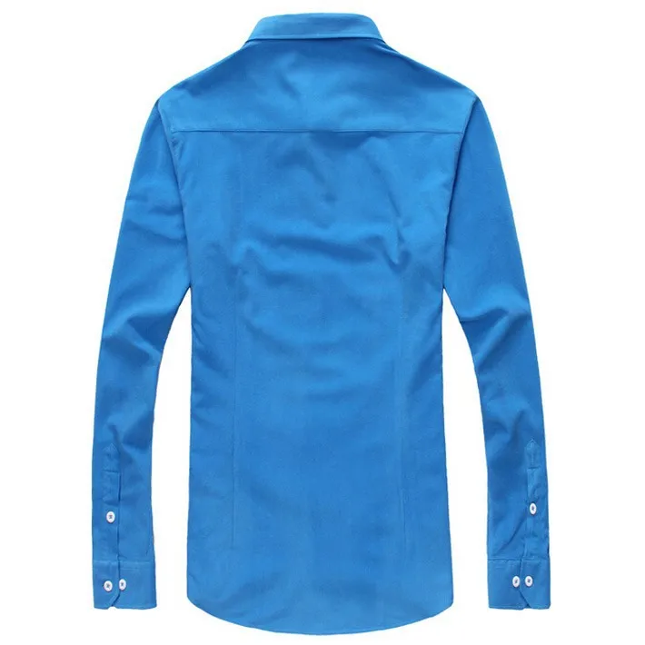 MCL1034-sy1