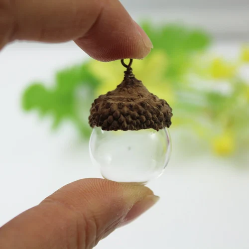 1PC 16/18/20/25MM DIY Glass vial With Natural Acorn Caps,DIY wishing bottles,glass globe pendant,Handblown Glass
1PC 16/18/20/25MM DIY Glass vial With Natural Acorn Caps,DIY wishing bottles,glass globe pendant,Handblown Glass