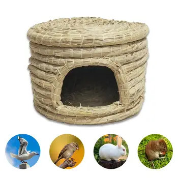 Natural Straw Woven Bird Nest Poultry Incubation Bed Bird Breeding House For Pigeon Parrot Hamster Squirrel
Natural Straw Woven Bird Nest Poultry Incubation Bed Bird Breeding House For Pigeon Parrot Hamster Squirrel