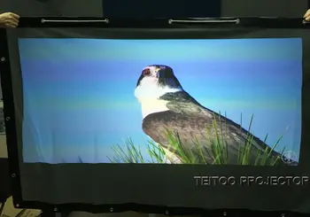 Factory Promotions 84 Inches 4:3 Wall Mounted PVC Material Rear Projector Screen High Quality For HD 3D Home Theater Projector
Factory Promotions 84 Inches 4:3 Wall Mounted PVC Material Rear Projector Screen High Quality For HD 3D Home Theater Projector
