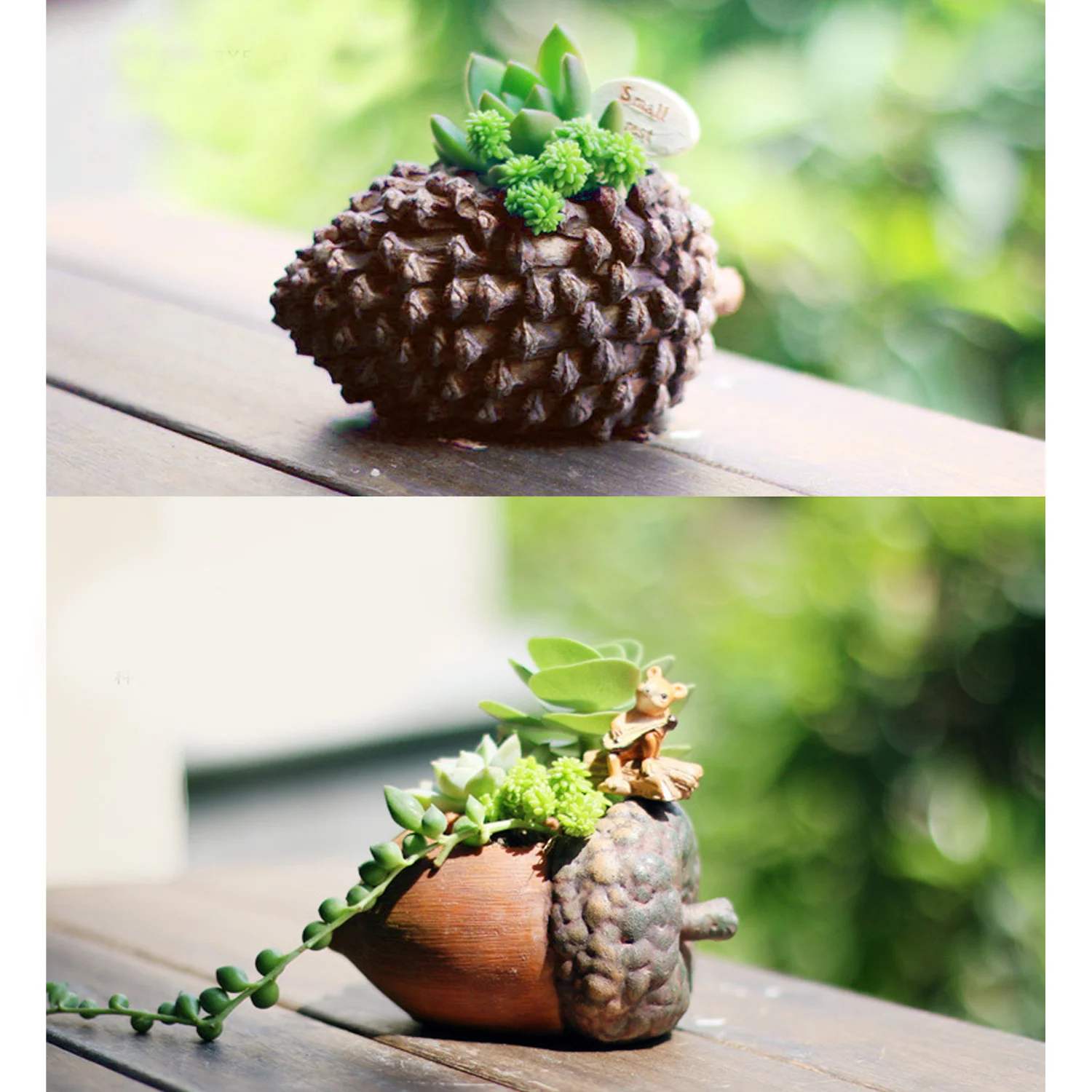 Behogar Mini Resin Micro Landscape Succulent Cacti Plants Flower Planters Planting Pot Container Home Garden Bar Decoration
Behogar Mini Resin Micro Landscape Succulent Cacti Plants Flower Planters Planting Pot Container Home Garden Bar Decoration