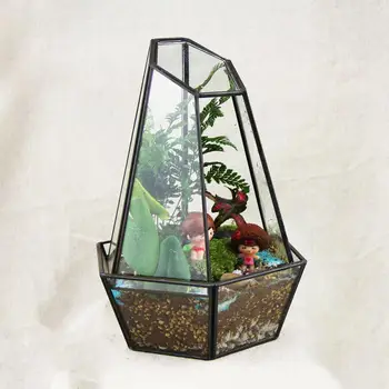 Hexagon Modern Glass Geometric Terrarium 2 Part Tabletop Succulent Fern Moss Plant Terrarium Box Bonsai Flower Pot
Hexagon Modern Glass Geometric Terrarium 2 Part Tabletop Succulent Fern Moss Plant Terrarium Box Bonsai Flower Pot