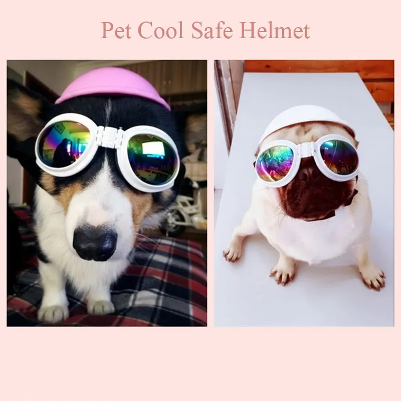 SMARTPET Dog Helmets for Puppy Motorcycle Pet Hat Helmet Ridding Cap Plastic Pet Protect Ridding Cap ABS Pet Costumes
SMARTPET Dog Helmets for Puppy Motorcycle Pet Hat Helmet Ridding Cap Plastic Pet Protect Ridding Cap ABS Pet Costumes