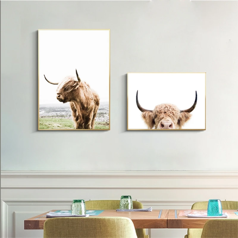 Highland Cow Poster Wall Art Print