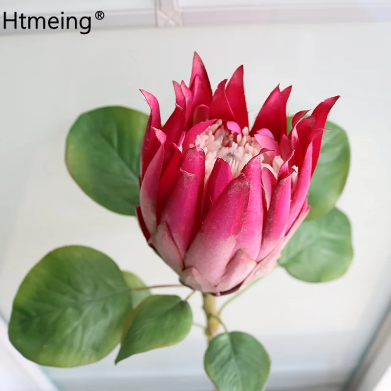 Africa artificial protea flowers 65cm long peony silk flowers fake plants branches for home wedding party decoration
Africa artificial protea flowers 65cm long peony silk flowers fake plants branches for home wedding party decoration