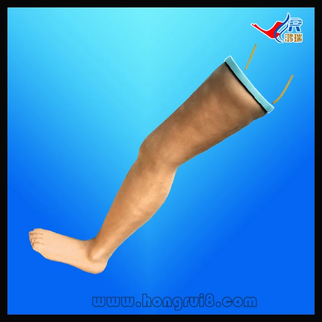 ISO Advanced IV Infusion Training Model, Intravenous Transfusion Leg simulator, Nursing Leg
ISO Advanced IV Infusion Training Model, Intravenous Transfusion Leg simulator, Nursing Leg
