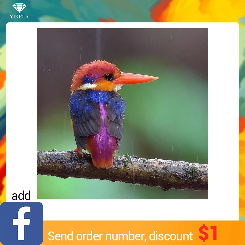 Full Square 5D DIY Diamond Painting Colorful Hummingbird Of Rhinestone Diamond Embroidery Mosaic Wall Stickers Home Decor Gifts
Full Square 5D DIY Diamond Painting Colorful Hummingbird Of Rhinestone Diamond Embroidery Mosaic Wall Stickers Home Decor Gifts