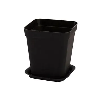 Square Planters Multi-Meat Basin Mini Flower Pot with Tray Vase 8*7cm Plant Care Black White Creative
Square Planters Multi-Meat Basin Mini Flower Pot with Tray Vase 8*7cm Plant Care Black White Creative