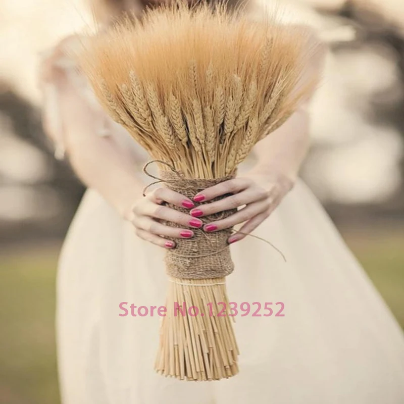 New 100 pcs Natural Dried Flowers Decorative Flowers Wheat Ear Bouquet Dried Branches for Wedding decoration
New 100 pcs Natural Dried Flowers Decorative Flowers Wheat Ear Bouquet Dried Branches for Wedding decoration