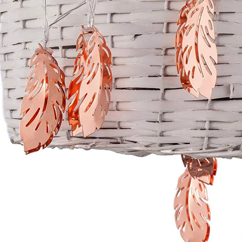 string lights (4)