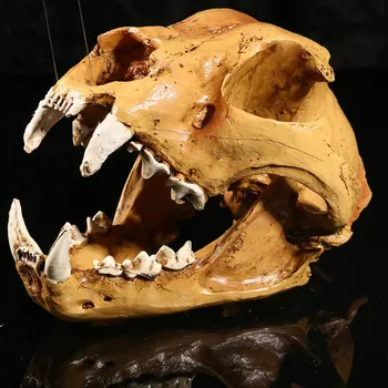 Simulation Animal Dog Head Skull Resin Crafts Specimen Medical Scary Home Decoration Skeleton Model Aquarium Decor
Simulation Animal Dog Head Skull Resin Crafts Specimen Medical Scary Home Decoration Skeleton Model Aquarium Decor