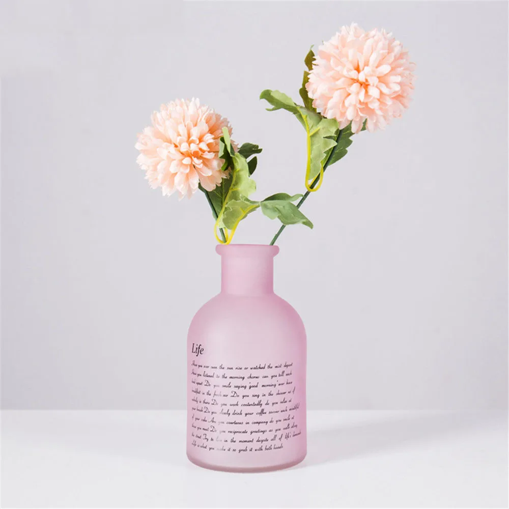 Scandinavian Simple Glass Vase Chic Pink Desk Decor Floral Storage Jar Elegance Dry Flower Bottle Vogue Home Container
Scandinavian Simple Glass Vase Chic Pink Desk Decor Floral Storage Jar Elegance Dry Flower Bottle Vogue Home Container