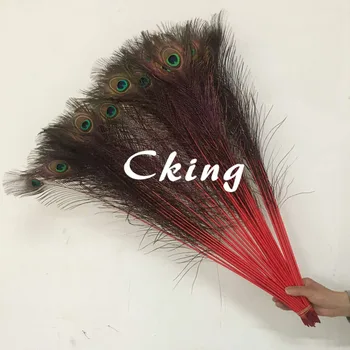 Cking Feathers 100pcs/lot Natural red color dyed peacock tail feathers size arrange 25-100cm long 10-40inches peacock feathers
Cking Feathers 100pcs/lot Natural red color dyed peacock tail feathers size arrange 25-100cm long 10-40inches peacock feathers