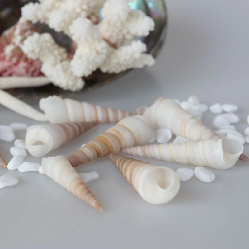 Free Shipping(50pcs/lot)Tower Screw Shell Natural Shell & Conch Home Decoration Aquarium Landscaping Shell Ornaments
Free Shipping(50pcs/lot)Tower Screw Shell Natural Shell & Conch Home Decoration Aquarium Landscaping Shell Ornaments
