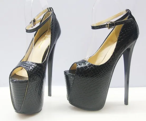 4541926322_511216355