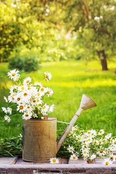 Free shipping custom digital nature photobackground studio flower scenic backdrops,vinyl background backdrop wedding D4340
Free shipping custom digital nature photobackground studio flower scenic backdrops,vinyl background backdrop wedding D4340