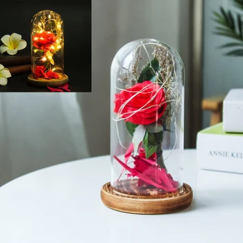 Bottle Artificial Silk Flowers LED Glowing Light Strips Table Lamp Glass Dome with Wooden Base Birthday Valentine Gifts for Girl
Bottle Artificial Silk Flowers LED Glowing Light Strips Table Lamp Glass Dome with Wooden Base Birthday Valentine Gifts for Girl