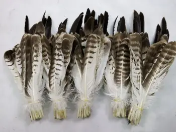 sell 200 pc quality natural owl feathers, 8-16inches/20-40cm, DIY jewelry decoration
sell 200 pc quality natural owl feathers, 8-16inches/20-40cm, DIY jewelry decoration