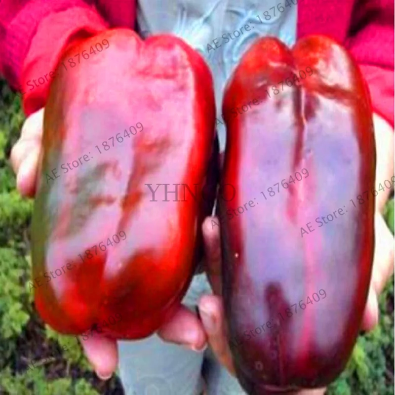 New Fresh Bonsai 100 Pcs/pack Giant Sweet Pepper Plantas , Easy Growing Paprika Chili Flores DIY Home Garden Vegetable Plant,#8
New Fresh Bonsai 100 Pcs/pack Giant Sweet Pepper Plantas , Easy Growing Paprika Chili Flores DIY Home Garden Vegetable Plant,#8