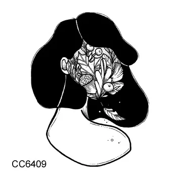 cc s (24)