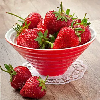Square drill 5D DIY Diamond Painting Fruit Strawberry Full Cross Stitch Diamond Embroidery Sewing Art Crafts Home Decoration
Square drill 5D DIY Diamond Painting Fruit Strawberry Full Cross Stitch Diamond Embroidery Sewing Art Crafts Home Decoration
