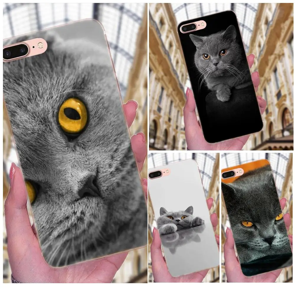 Quote Case Slim For Galaxy J1 J2 J3 J330 J4 J5 J6 J7 J730 J8 2015 2016 2017 2018 mini Pro British Shorthair Cat Top
Quote Case Slim For Galaxy J1 J2 J3 J330 J4 J5 J6 J7 J730 J8 2015 2016 2017 2018 mini Pro British Shorthair Cat Top