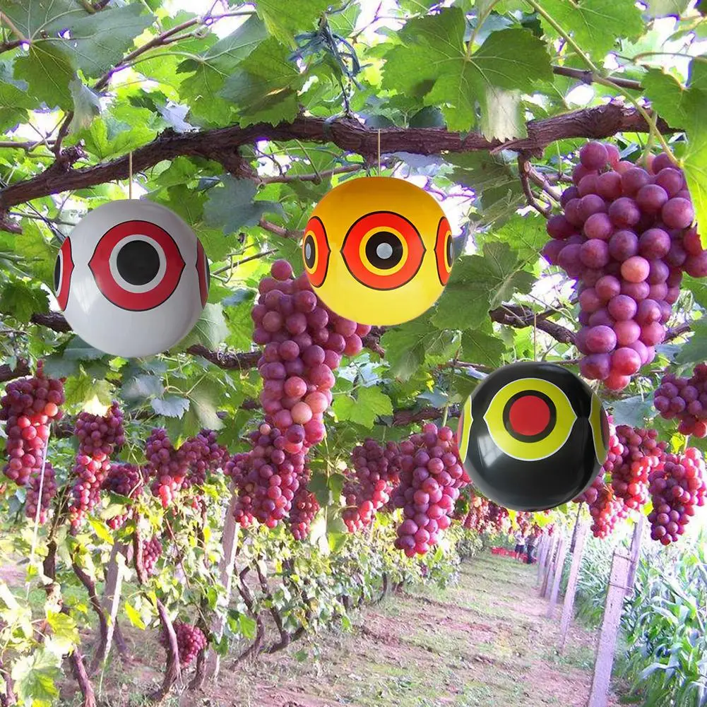 Bird Repellent Scare Eye Balloons Stops Pest Bird Problems Fast Reliable Visual Deterrent Black /Yellow /White Color
Bird Repellent Scare Eye Balloons Stops Pest Bird Problems Fast Reliable Visual Deterrent Black /Yellow /White Color