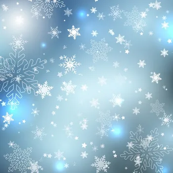 Winter silver snowflakes bokeh blue backdrops Vinyl cloth High quality Computer print wall photo studio background
Winter silver snowflakes bokeh blue backdrops Vinyl cloth High quality Computer print wall photo studio background
