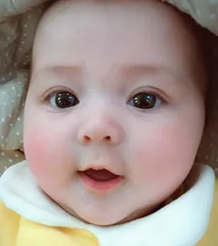 TB2PG4XXOMnBKNjSZFzXXc_qVXa-123105199