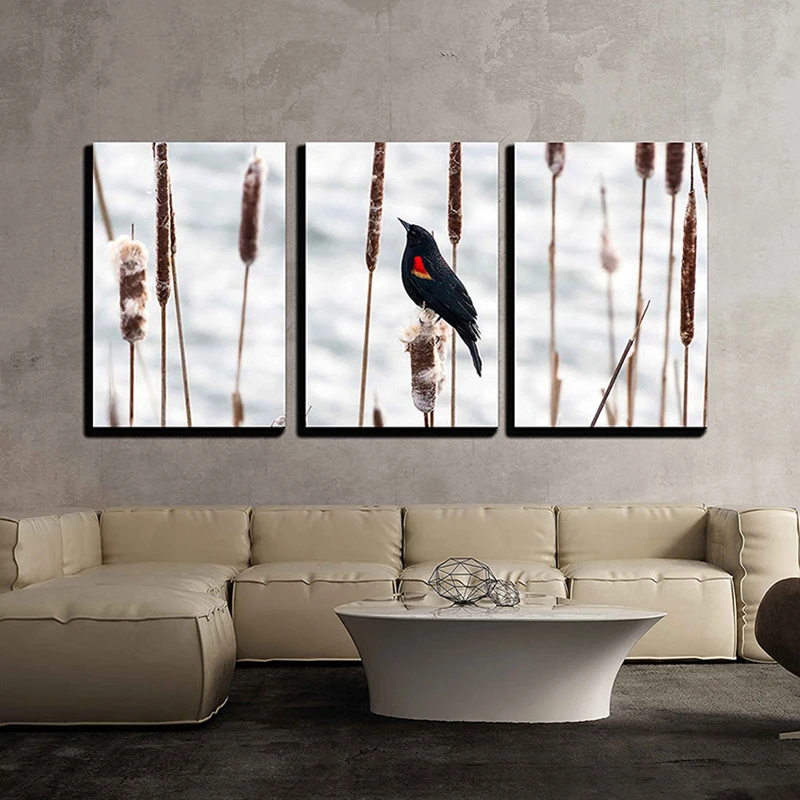 Red Winged Blackbird Standing On Cattail 3pcs Diamond Painting Full Round Diamond Embroidery Cross Stitch Needlework Wall Decor
Red Winged Blackbird Standing On Cattail 3pcs Diamond Painting Full Round Diamond Embroidery Cross Stitch Needlework Wall Decor