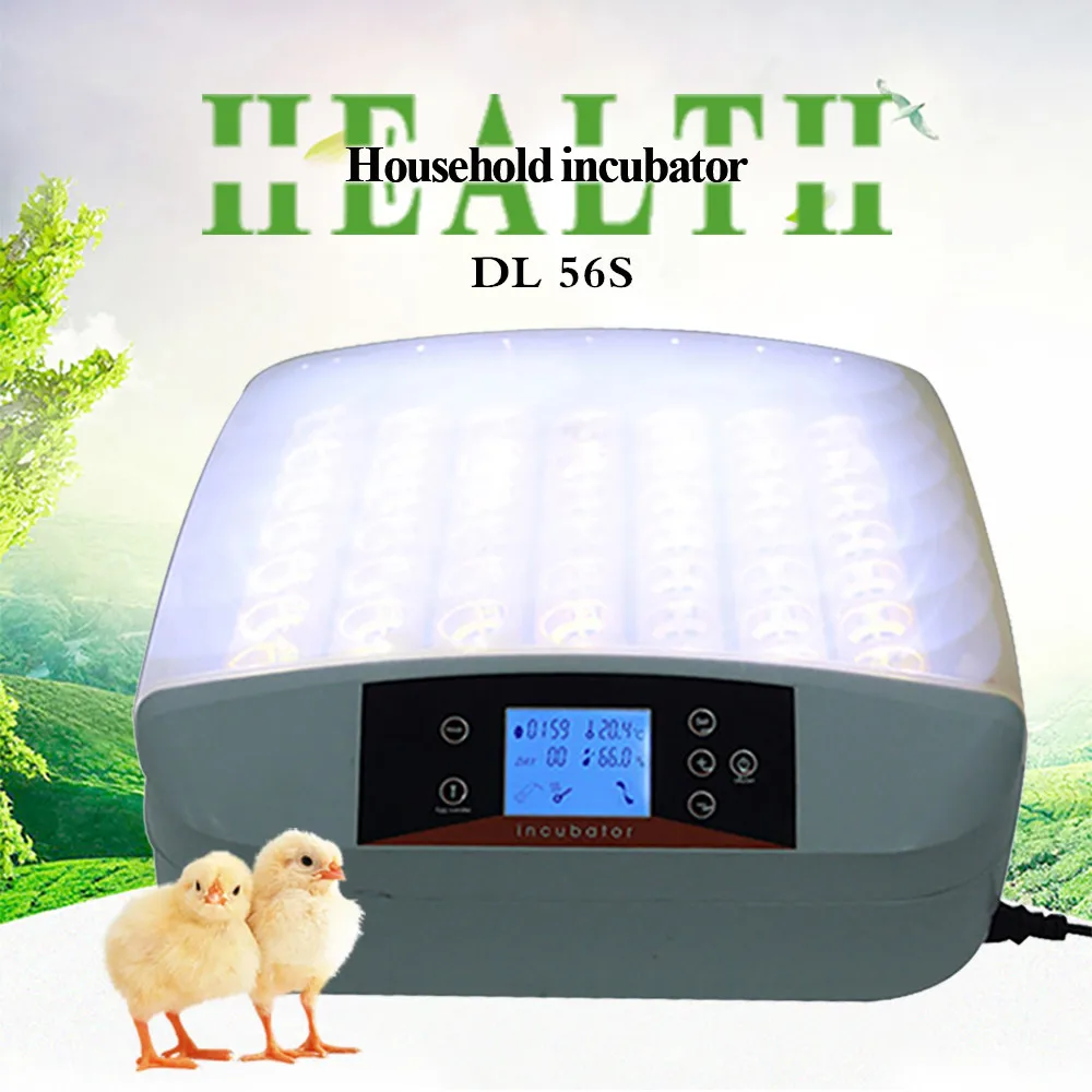 56 Chicken eggs Incubators high quality Egg Incubator Automatic bird goose duck LED display Temperature Control
56 Chicken eggs Incubators high quality Egg Incubator Automatic bird goose duck LED display Temperature Control
