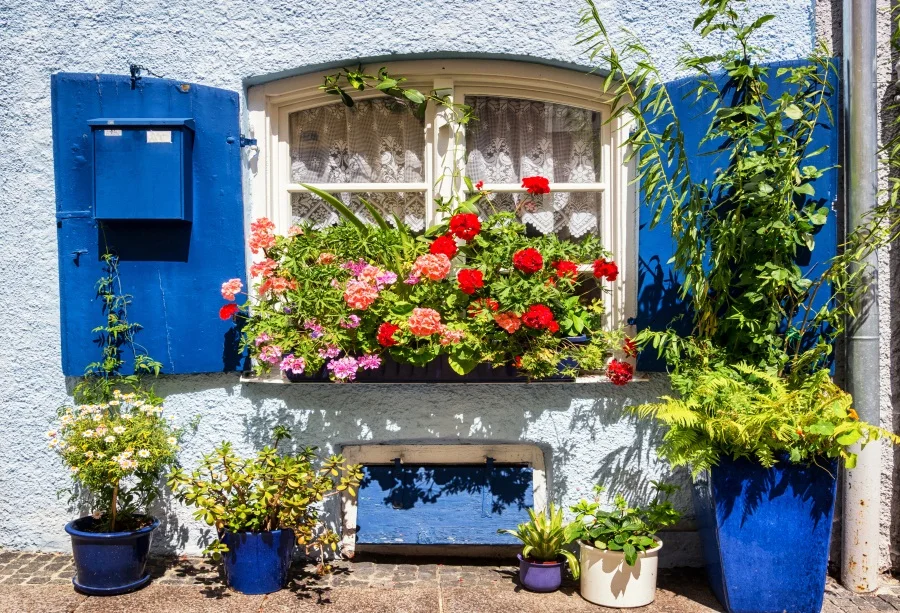 Laeacco Arch Window Flower Mailbox Photography Backgrounds Thin Vinyl Digital Customized Photographic Backdrops For Photo Studio
Laeacco Arch Window Flower Mailbox Photography Backgrounds Thin Vinyl Digital Customized Photographic Backdrops For Photo Studio