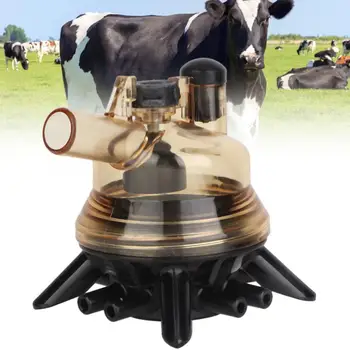 150CC Cow Sheep Milker Milking Machine Part Replacement Milk Claw Cluster Drinking Bowls for Farm Collecting Milk
150CC Cow Sheep Milker Milking Machine Part Replacement Milk Claw Cluster Drinking Bowls for Farm Collecting Milk