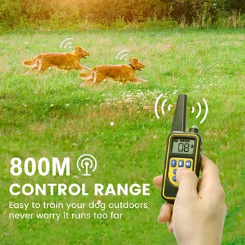 2019 New Arrival Dog Trainings Collar-Rechargeable with 800 meters Remote-LED Display Anti Barking Collar for Dog
2019 New Arrival Dog Trainings Collar-Rechargeable with 800 meters Remote-LED Display Anti Barking Collar for Dog