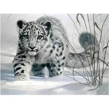 New 5d diy diamond painting leopard snow full square 3D diamond painting cross stitch animal diamond mosaic Christmas gift
New 5d diy diamond painting leopard snow full square 3D diamond painting cross stitch animal diamond mosaic Christmas gift
