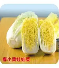2018 Promotion Rushed Summer Aquarius Excluded Very Easy Interest Mini Garden bonsai Baby Vegetables bonsai Vegetable 100pcs
2018 Promotion Rushed Summer Aquarius Excluded Very Easy Interest Mini Garden bonsai Baby Vegetables bonsai Vegetable 100pcs