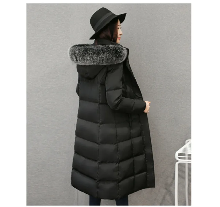 TB27.k6aXgkyKJjSspfXXcj1XXa_!!3228751307