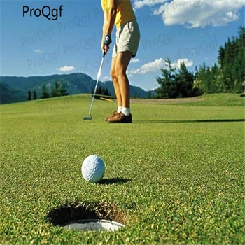 30000Pcs A Set Evergreen Golf Lawn 
30000Pcs A Set Evergreen Golf Lawn