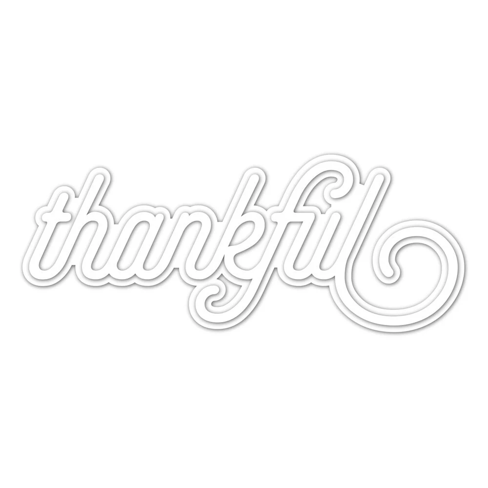 113*47mm Thankful Metal Cutting Dies Stencils for DIY Scrapbooking Album Stamp Paper Card Embossing
113*47mm Thankful Metal Cutting Dies Stencils for DIY Scrapbooking Album Stamp Paper Card Embossing