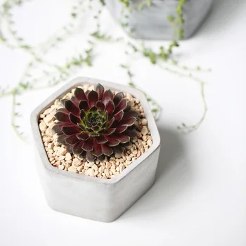 Desktop Mini Ceramic Flower Pots Garden Plant Pot Creative Hexagon Wholesale High Quality Flowerpot Not Including Planter Glazed
Desktop Mini Ceramic Flower Pots Garden Plant Pot Creative Hexagon Wholesale High Quality Flowerpot Not Including Planter Glazed